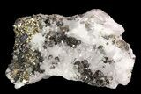 Sphalerite, Pyrite and Quartz Association - Peru #99695-1